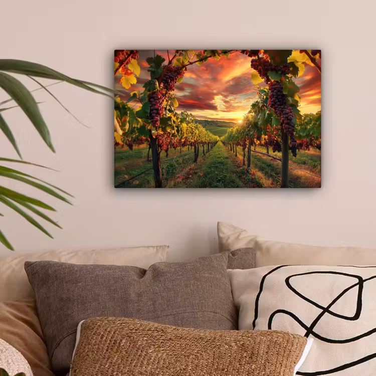 Wijngaard - Druiven - Zonsondergang canvas 2cm klein -sfeer1