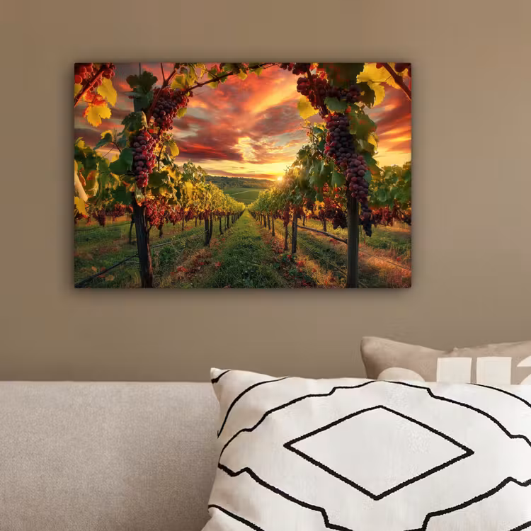Wijngaard - Druiven - Zonsondergang canvas 2cm klein -sfeer3