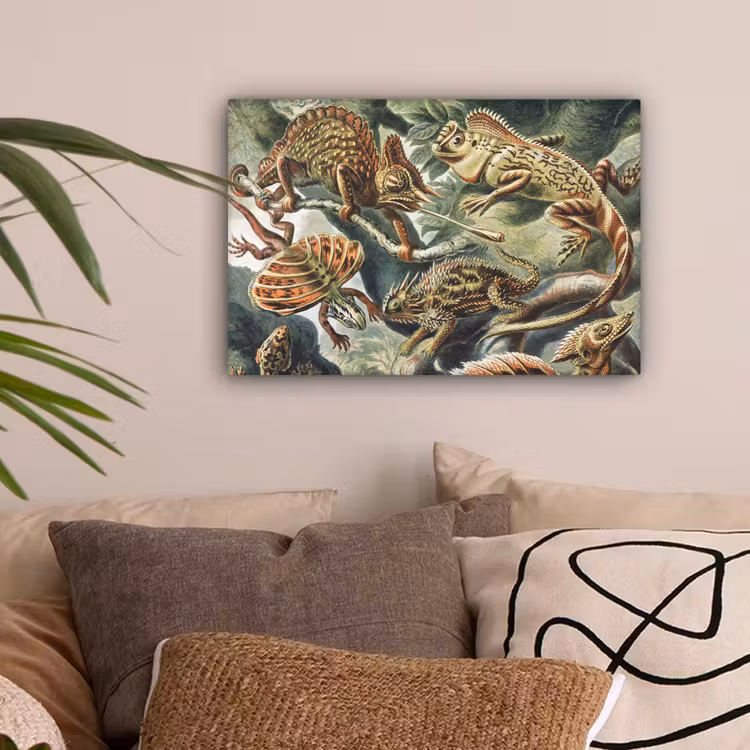 Vintage - Kunst - Ernst Haeckel - Salamanders - Dieren canvas 2cm klein -sfeer1