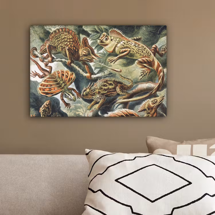 Vintage - Kunst - Ernst Haeckel - Salamanders - Dieren canvas 2cm klein -sfeer3