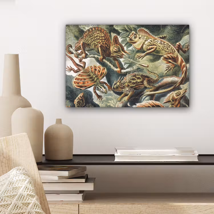 Vintage - Kunst - Ernst Haeckel - Salamanders - Dieren canvas 2cm klein -sfeer6