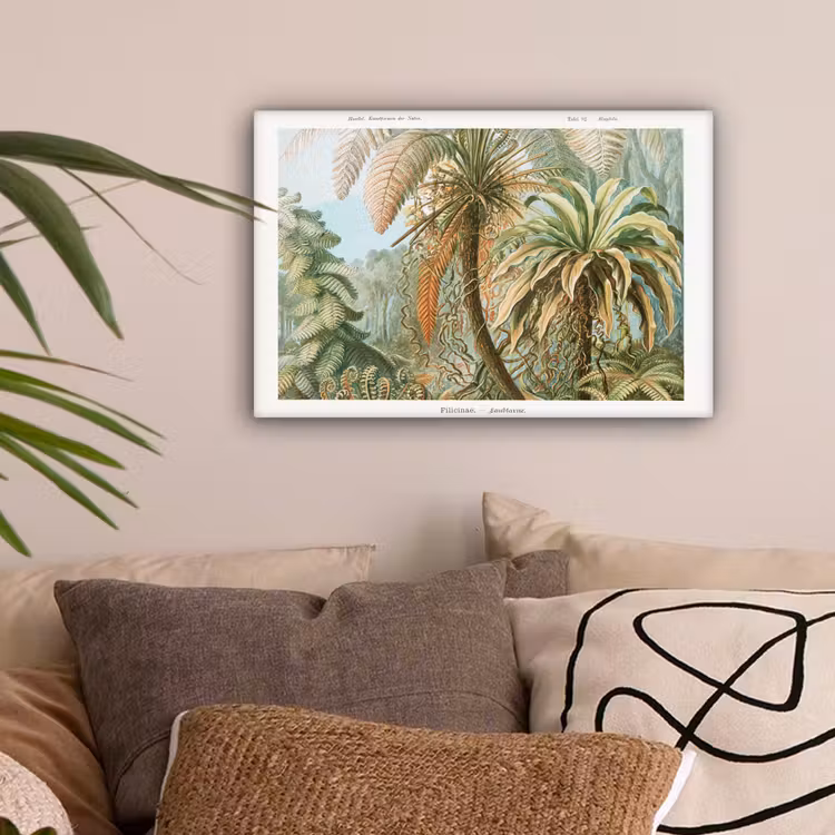 Vintage - Oude meesters - Varens - Planten - Natuur canvas 2cm klein -sfeer1
