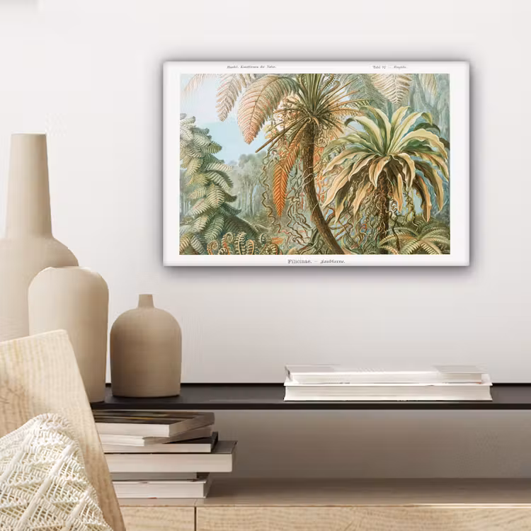 Vintage - Oude meesters - Varens - Planten - Natuur canvas 2cm klein -sfeer6