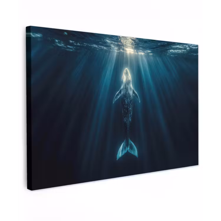 Walvis - Water - Zonnestralen - Blauw canvas 2cm klein -z3d