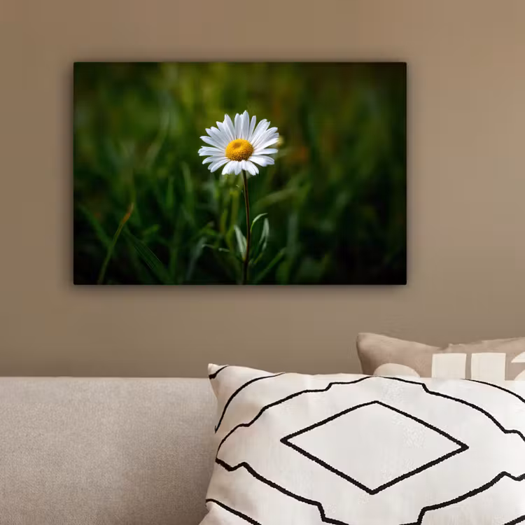 Wit - Madeliefje - Bloem - Gras canvas 2cm klein -sfeer3