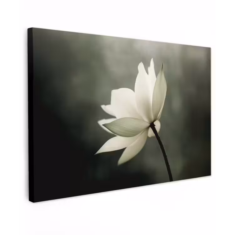 Wit - Lotus - Donker - Bloem canvas 2cm klein -z3d