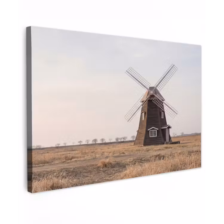 Windmolens - Landschap - Veld canvas 2cm klein -z3d