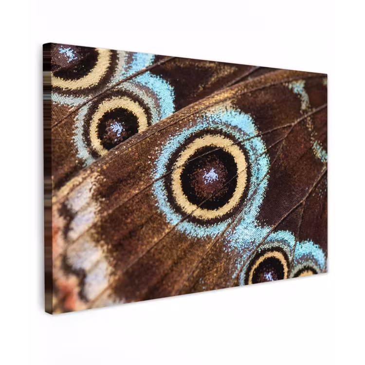 Vleugels - Vlinder - Blauw canvas 2cm klein -z3d