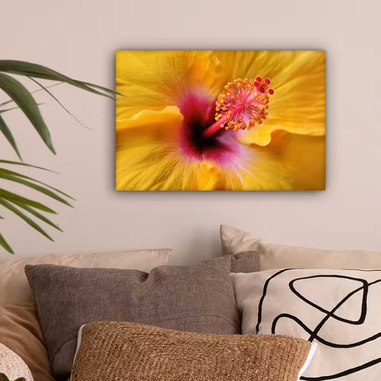 Geel - Hibiscus - Tropisch canvas 2cm klein -sfeer1