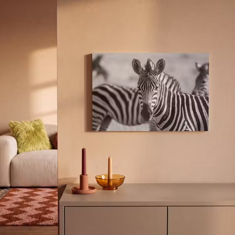 Zebra's - Zwart - Wit canvas 2cm klein -sfeer1