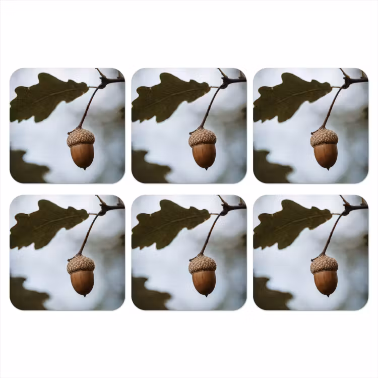 Eikel - Eikenblad - Bos - Herfst - Natuur onderzetter kurk middel -3d