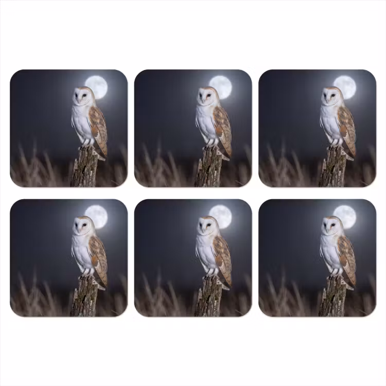 Kerkuil - Maan - Nacht onderzetter kurk middel -3d