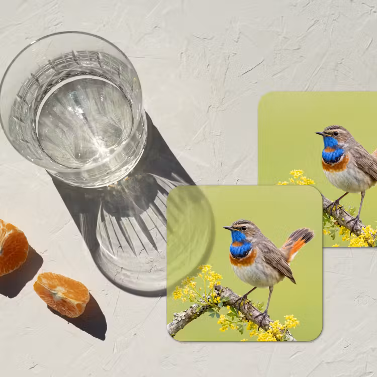 Vogel - Tak - Natuur - Kleurrijk onderzetter kurk middel -sfeer4