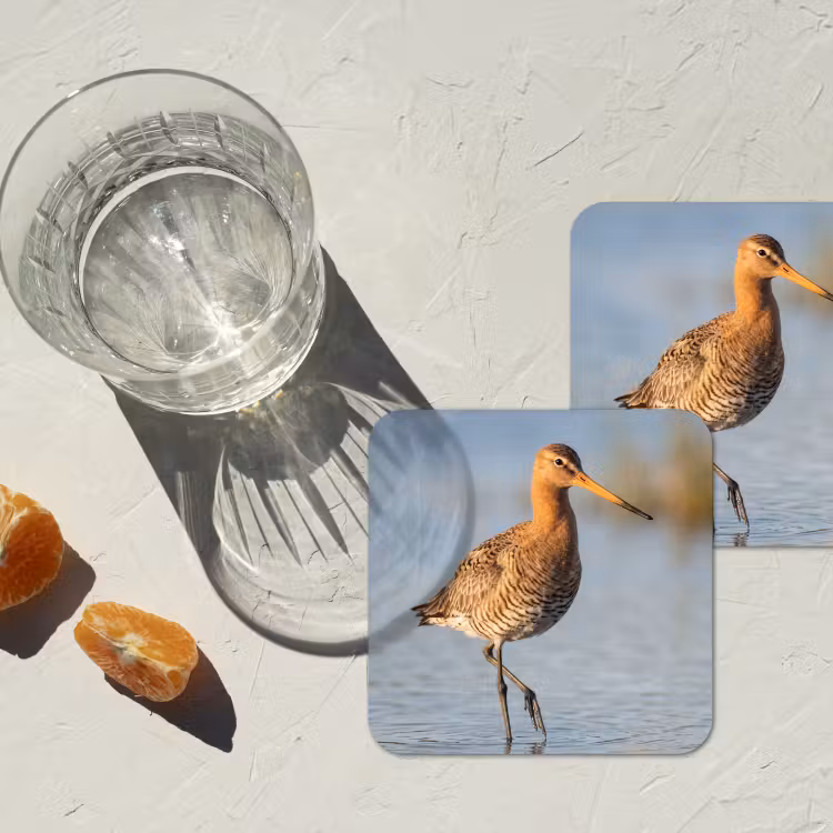 Vogel - Steltloper - Water - Natuur onderzetter kurk middel -sfeer4