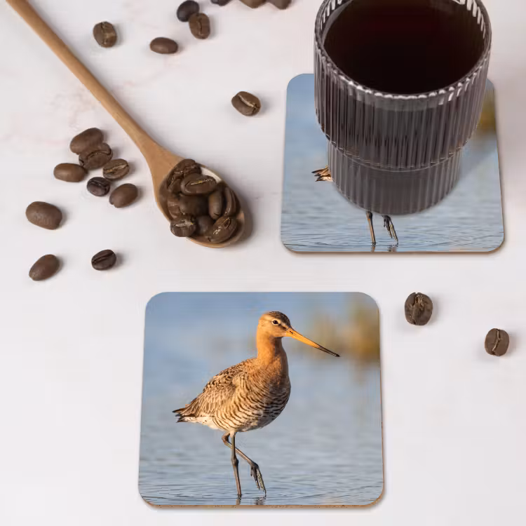 Vogel - Steltloper - Water - Natuur onderzetter kurk middel -sfeer2