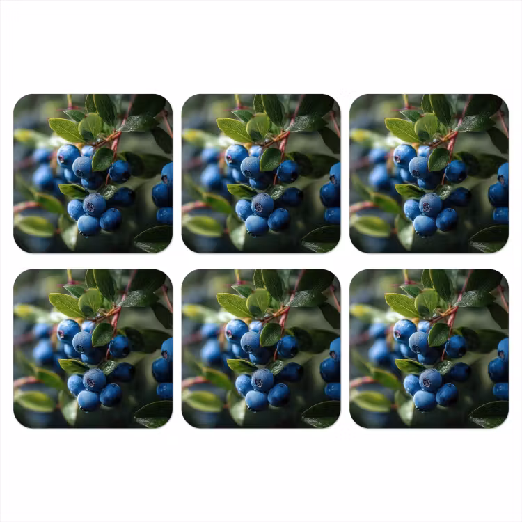 Blauwe bessen - Dauwdruppels - Natuurlijk licht onderzetter kurk middel -3d