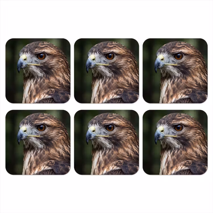 Buizerd - Roofvogel - Natuur - Bruin onderzetter kurk middel -3d