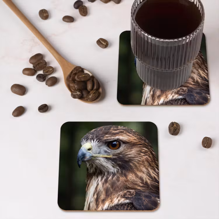 Buizerd - Roofvogel - Natuur - Bruin onderzetter kurk middel -sfeer2