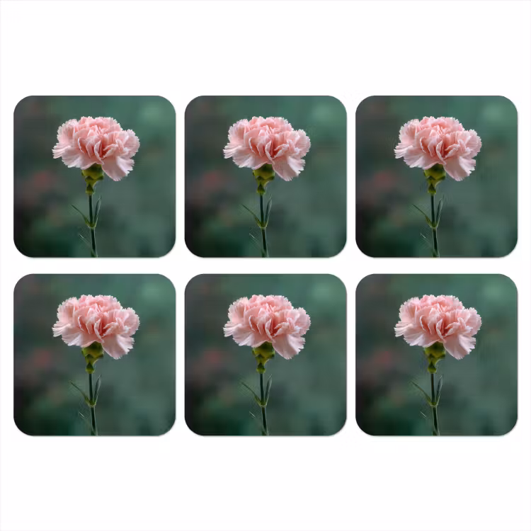 Anjer - Roze - Bloemblaadjes onderzetter kurk middel -3d