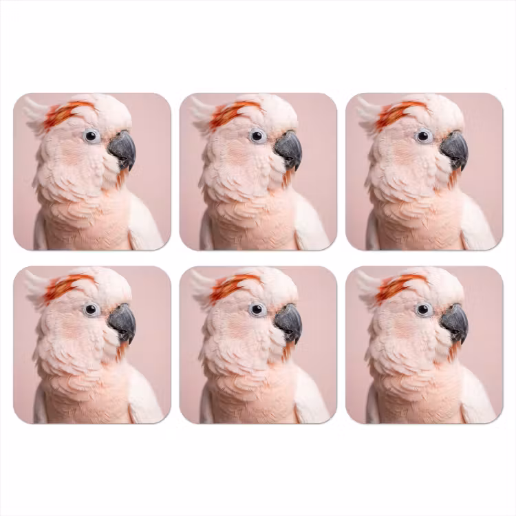Kaketoe - Portret - Roze onderzetter kurk middel -3d