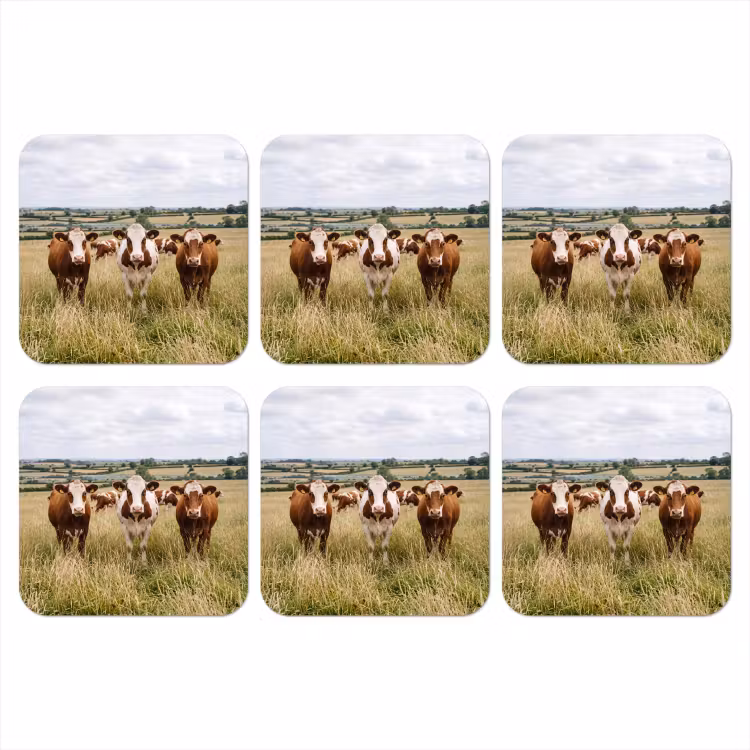 Koeien - Portret - Weide - Boerderij - Nieuwsgierig onderzetter kurk middel -3d