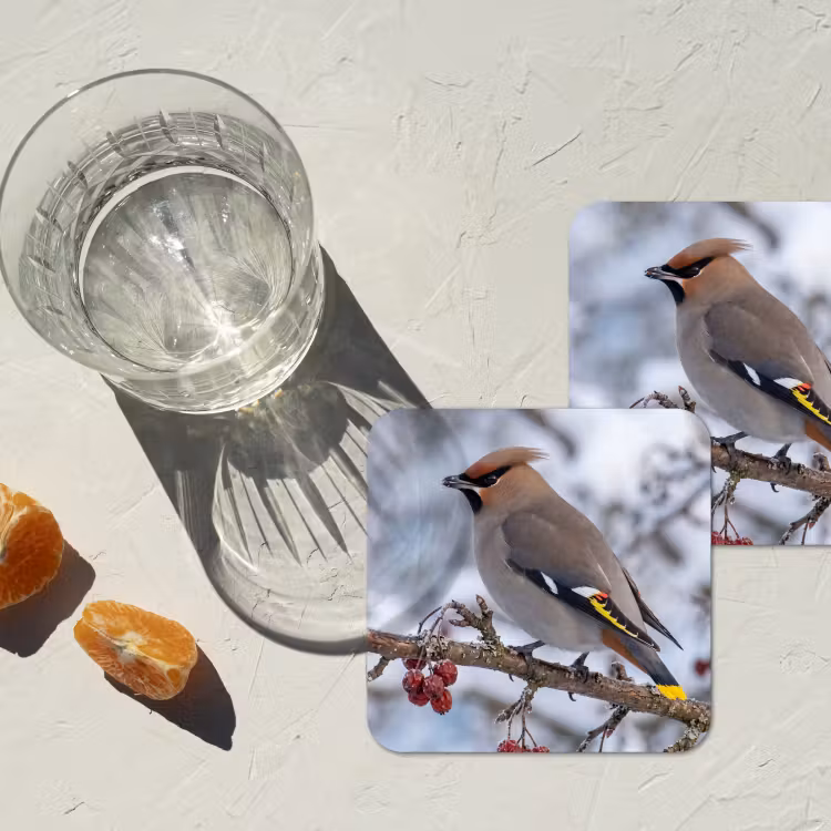 Pestvogel - Bessen - Winter - Natuur onderzetter kurk middel -sfeer4
