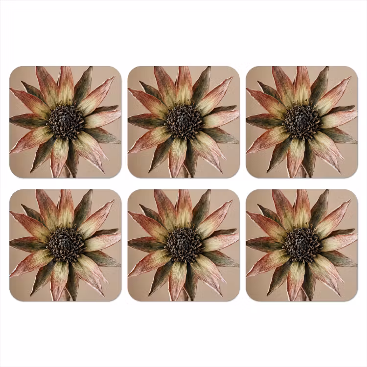 Droogbloem - Protea - Vintage - Beige - Rustiek onderzetter kurk middel -3d