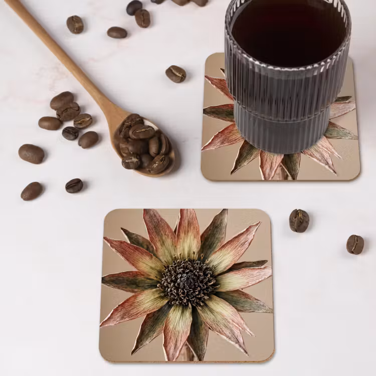 Droogbloem - Protea - Vintage - Beige - Rustiek onderzetter kurk middel -sfeer2