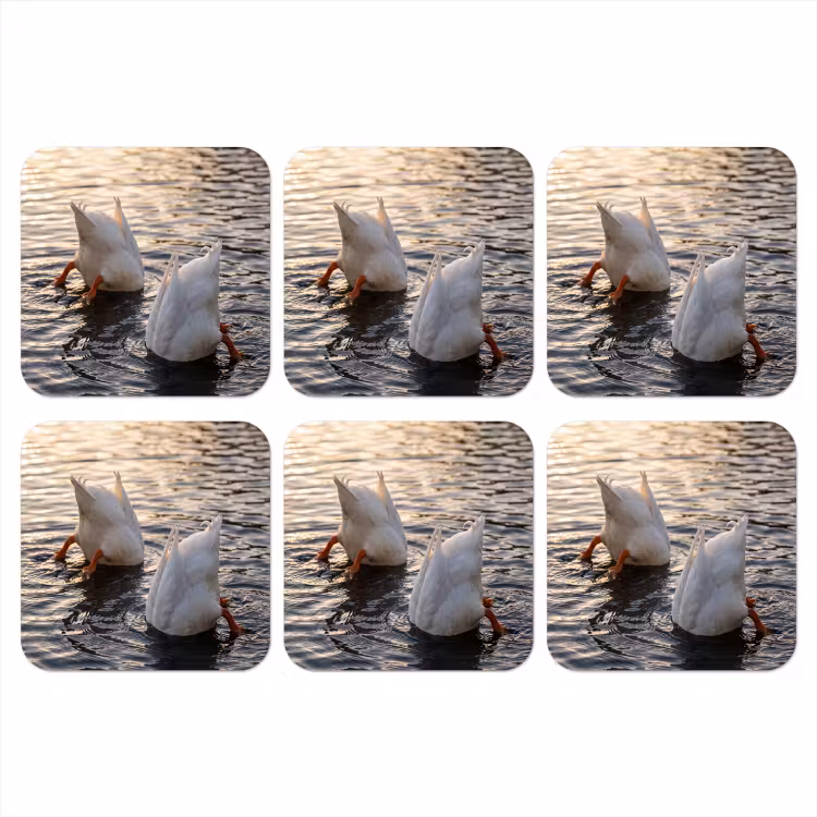 Eenden - Water - Natuur onderzetter kurk middel -3d