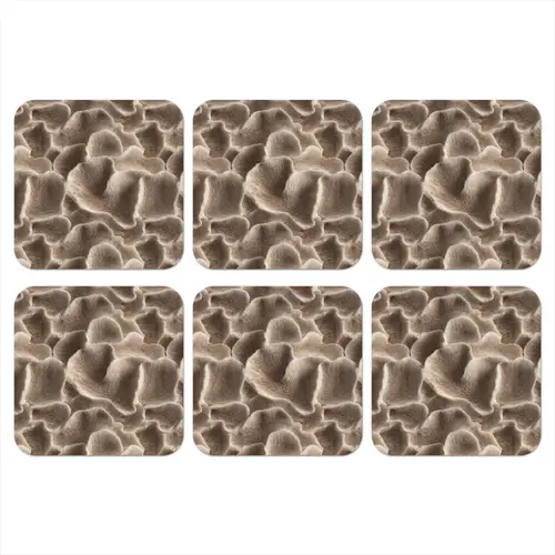 Waaiervorm - Beige - Vezel textuur onderzetter kurk middel 366 -3d