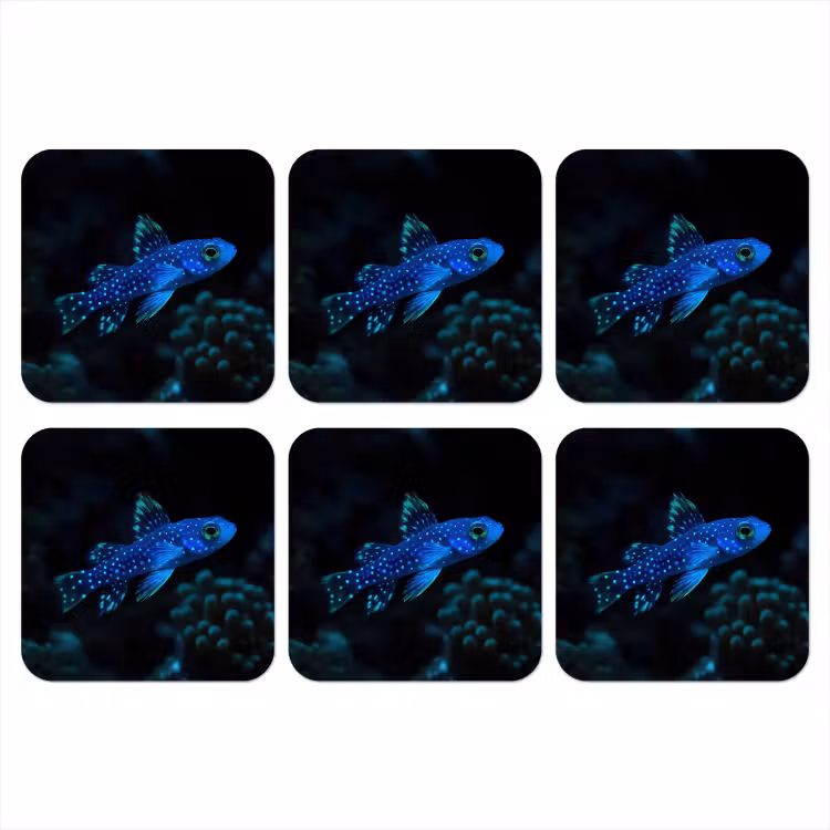 Vis - Stippen - Koraal - Blauw onderzetter kurk middel -3d