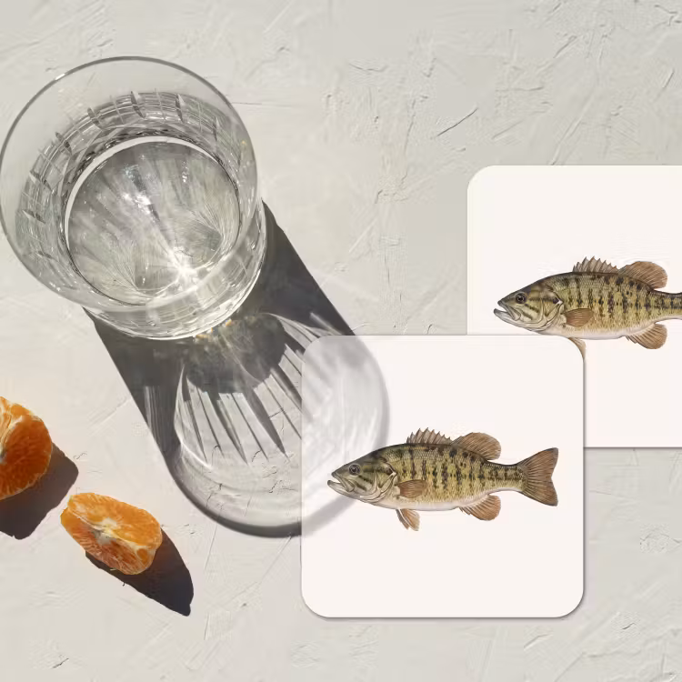 Vissen - Natuur - Vintage onderzetter kurk middel -sfeer4
