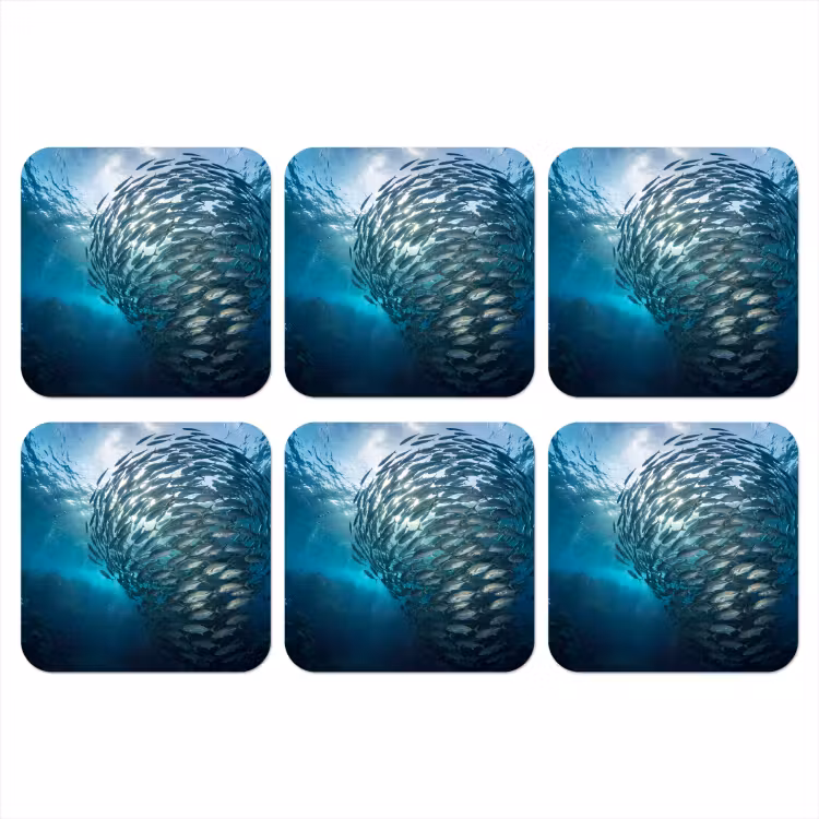 Vis - School - Oceaan - Natuur - Blauw onderzetter kurk middel -3d