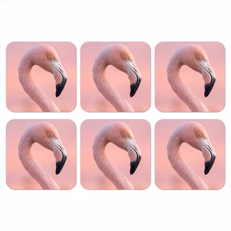 Flamingo - Portret - Roze onderzetter kurk middel -3d