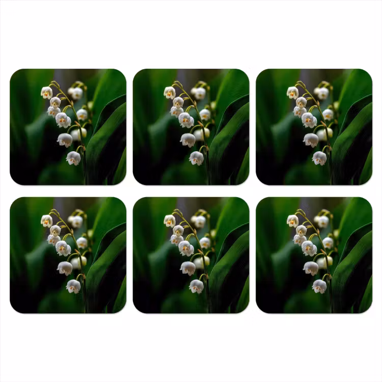 Bloemen - Wit - Bladeren - Lelietjes onderzetter kurk middel -3d