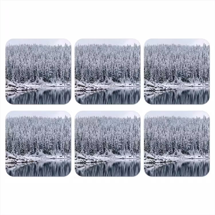 Bos - Reflectie - Meer - Winter - Serene onderzetter kurk middel -3d