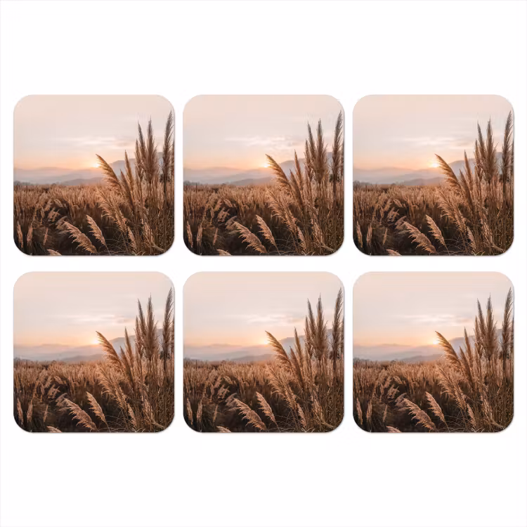 Gras - Veld - Zon - Natuur onderzetter kurk middel -3d
