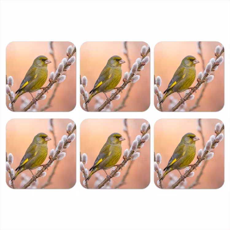 Groenling - Katjes - Lente - Natuur - Zacht onderzetter kurk middel -3d