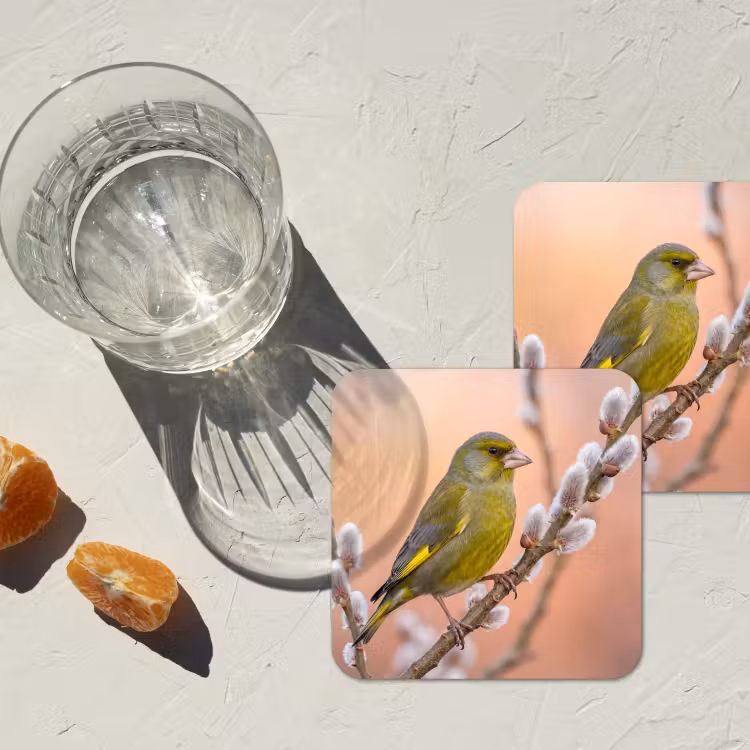 Groenling - Katjes - Lente - Natuur - Zacht onderzetter kurk middel -sfeer4