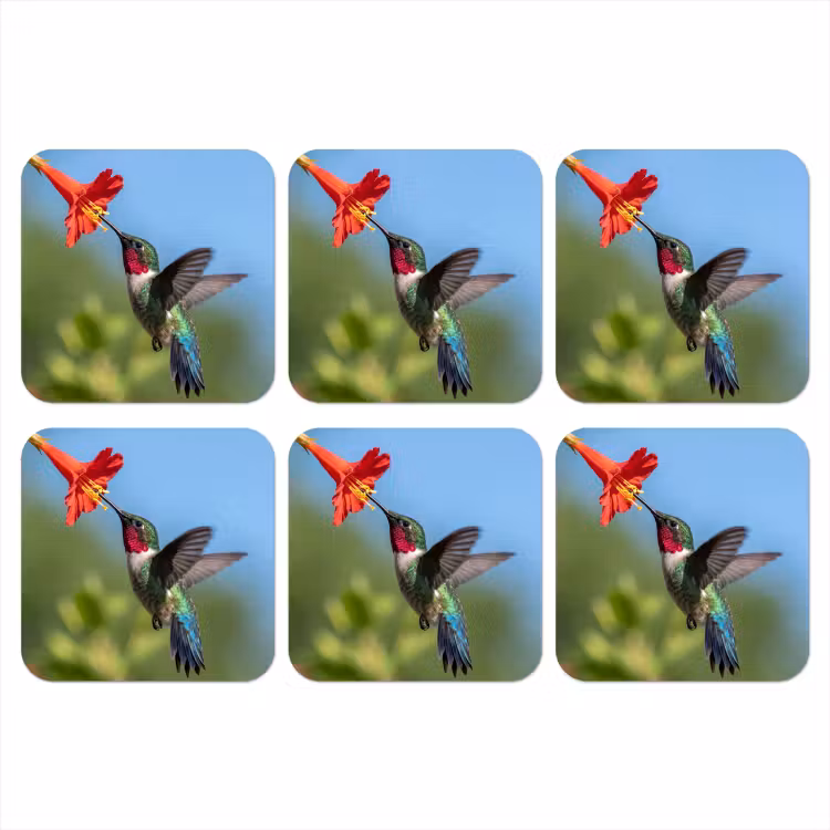 Kolibrie - Bloem - Natuur - Groen onderzetter kurk middel -3d