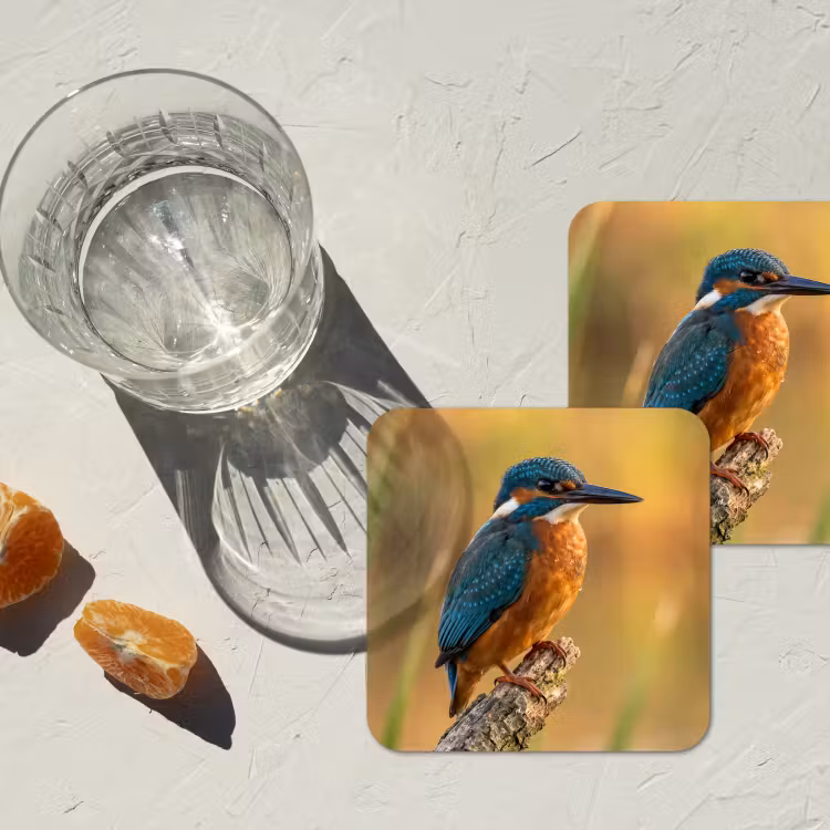 IJsvogel - Tak - Water - Kleurrijk - Levendig onderzetter kurk middel -sfeer4