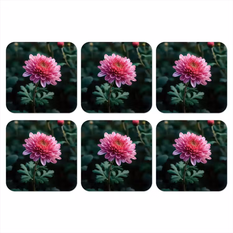 Blad - Chrysant - Roze - Schaduw onderzetter kurk middel -3d