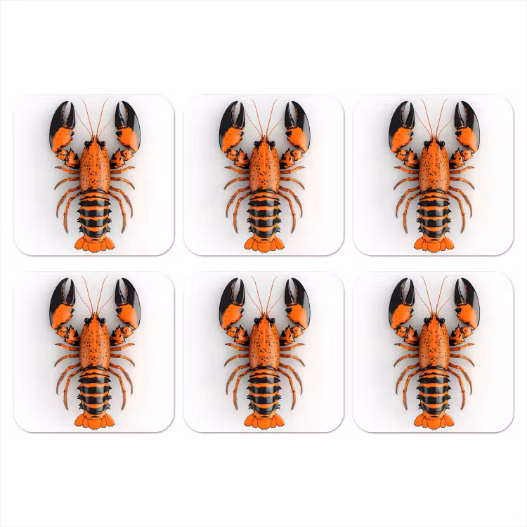 Kreeft - Zwart - Oranje - Wit - Uniek onderzetter kurk middel -3d