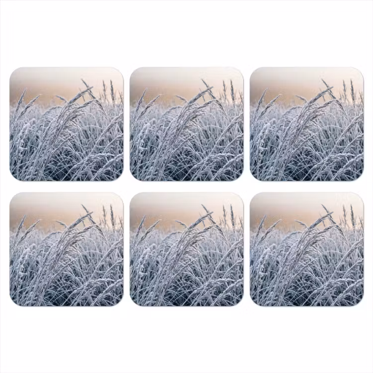 Rijp - Gras - Kristallen - Winter - Minimalistisch onderzetter kurk middel -3d