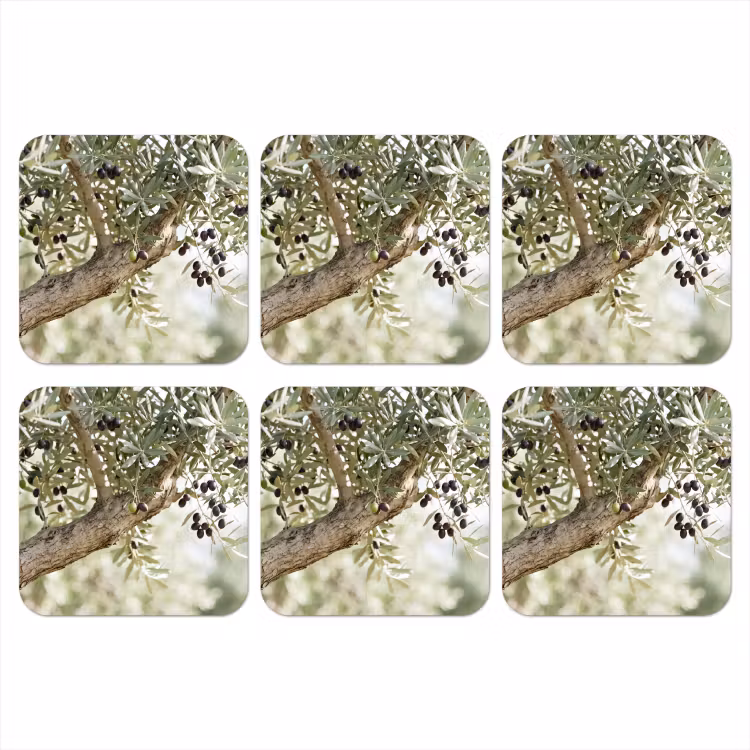 Coaster - Olive tree - branch - green - Olijfboom - tak - groen onderzetter kurk middel