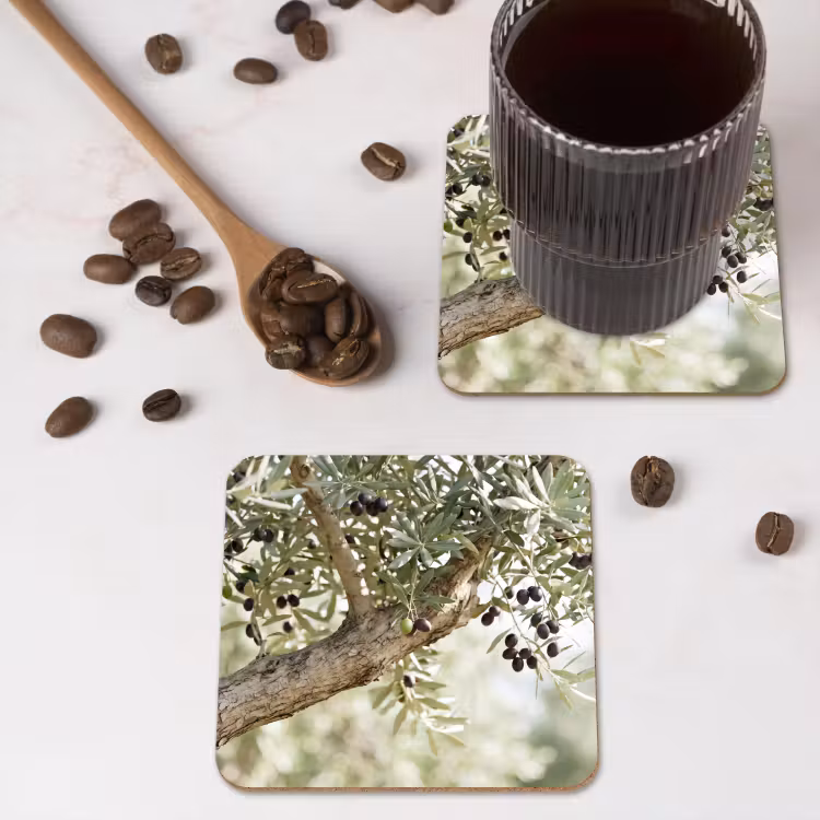 Coaster - Olive tree - branch - green - Olijfboom - tak - groen onderzetter kurk middel