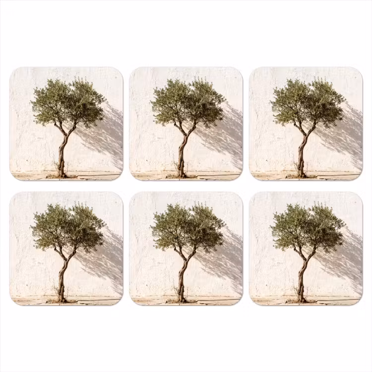 Coaster - Olive Tree - Wall - White - Olijfboom - muur - wit onderzetter kurk middel