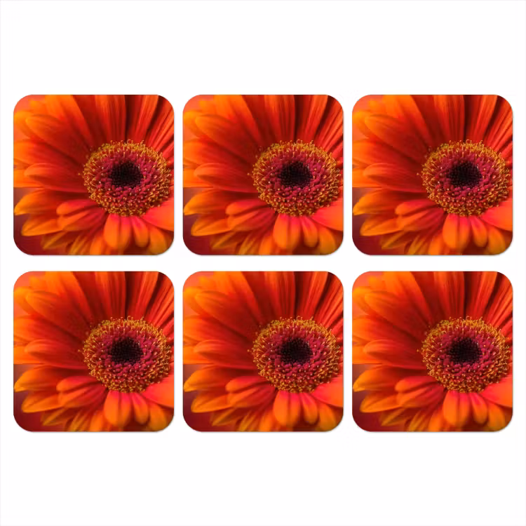 Oranje - Gerbera - Intens onderzetter kurk middel -3d