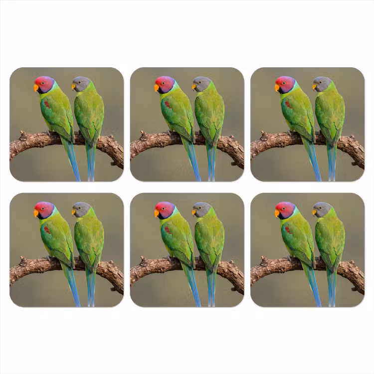 Papagaai - Tak - Natuur - Kleurrijk onderzetter kurk middel -3d