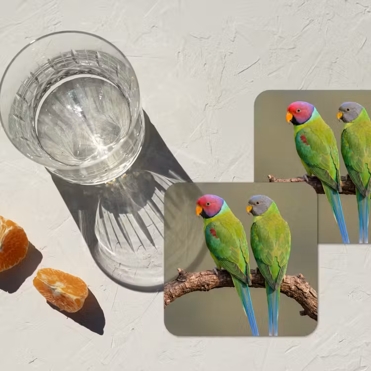 Papagaai - Tak - Natuur - Kleurrijk onderzetter kurk middel -sfeer4